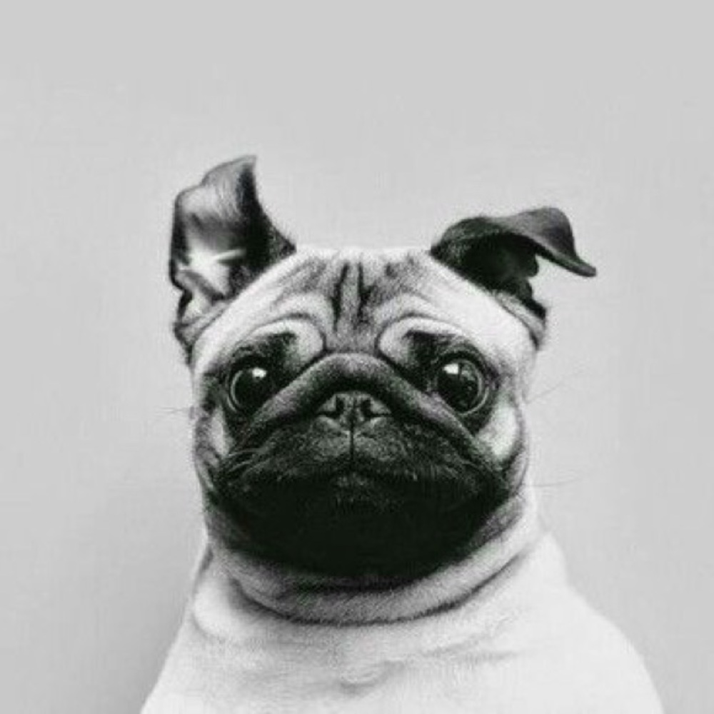 NOTHING TO SEE HERE!